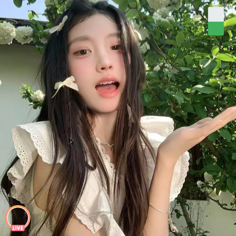 德甲夜行人（广东省）